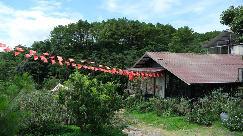 https://files.locallife.asia/images/800/1765030216926-Thiết kế chưa có tên (12).png